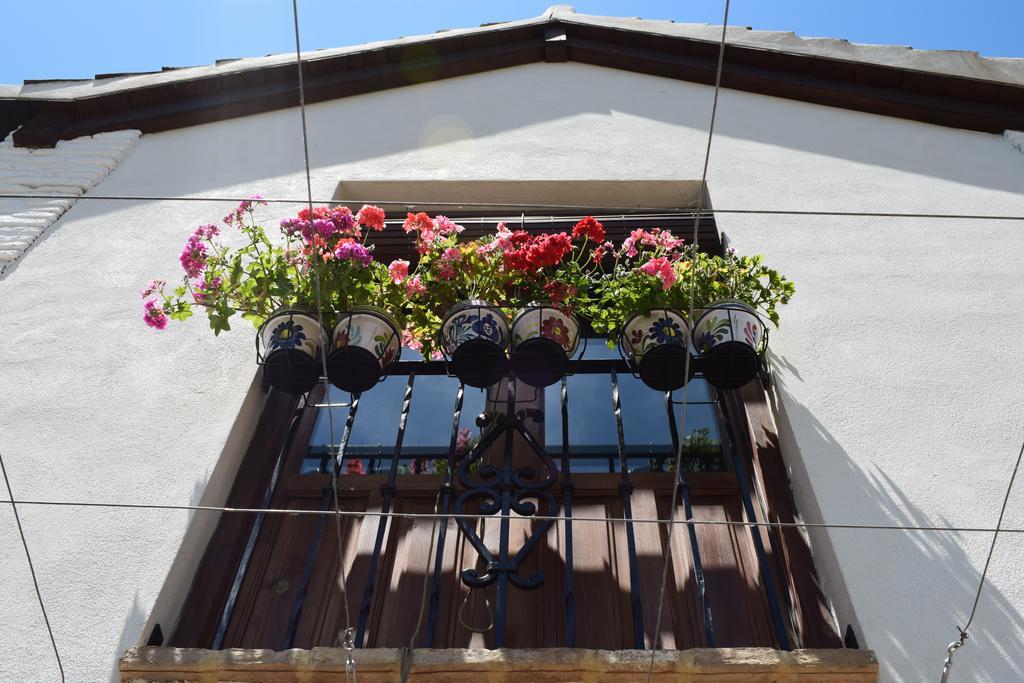 Carmen De Ramilla, Encantadora Guesthouse Con Piscina Soleada Granada Eksteriør bilde