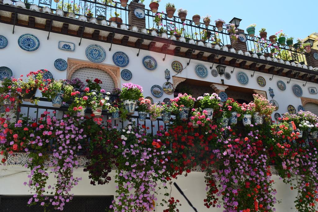 Carmen De Ramilla, Encantadora Guesthouse Con Piscina Soleada Granada Eksteriør bilde