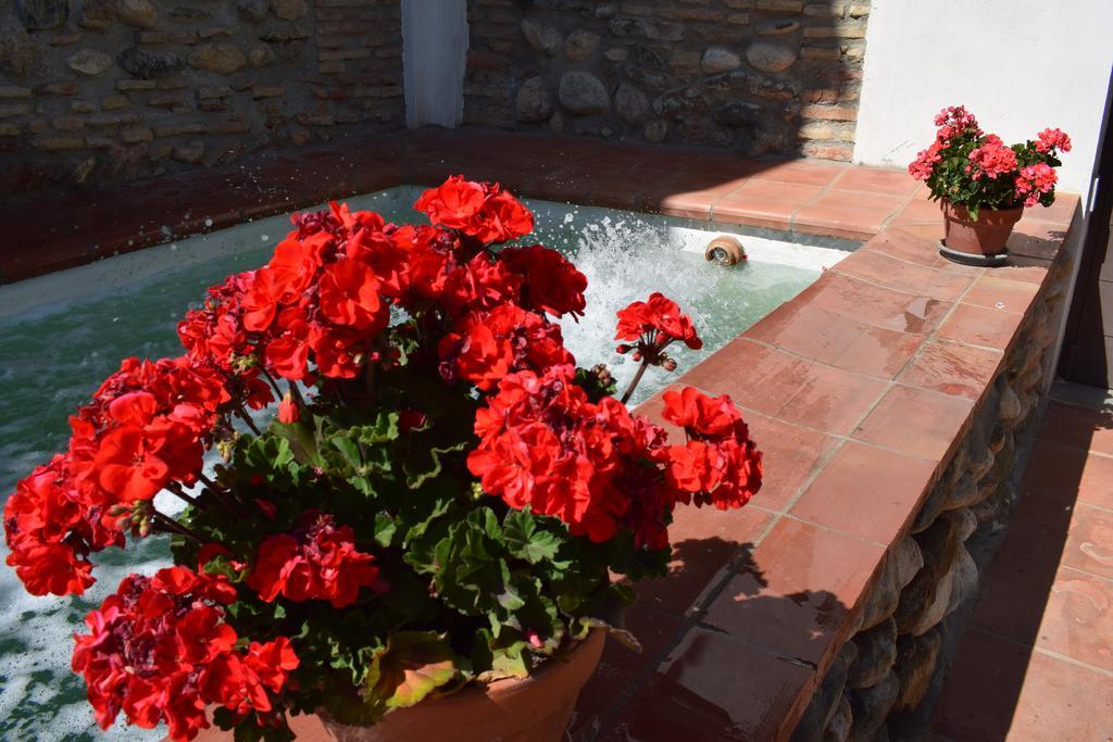 Carmen De Ramilla, Encantadora Guesthouse Con Piscina Soleada Granada Eksteriør bilde