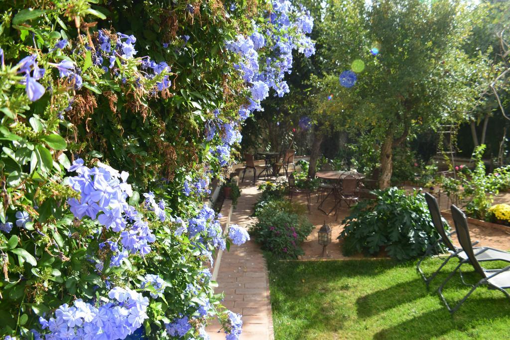 Carmen De Ramilla, Encantadora Guesthouse Con Piscina Soleada Granada Eksteriør bilde