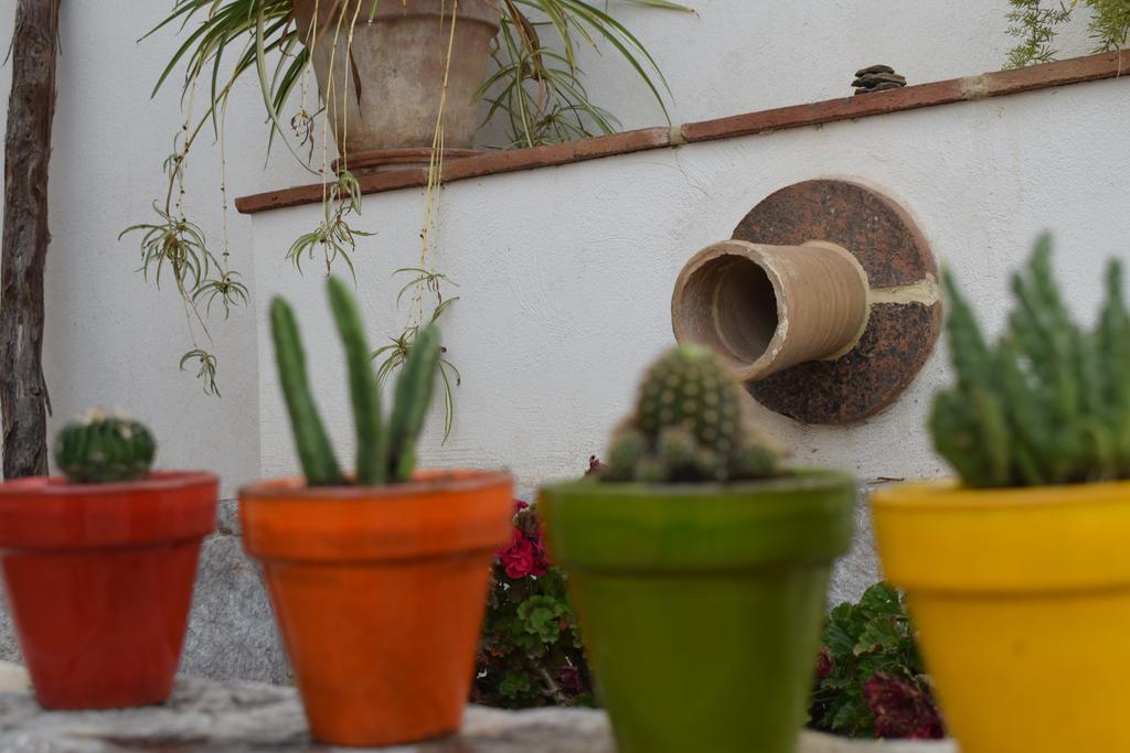 Carmen De Ramilla, Encantadora Guesthouse Con Piscina Soleada Granada Eksteriør bilde